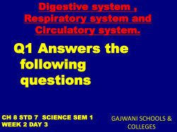 Constitutes of Diet - Gajwani International School