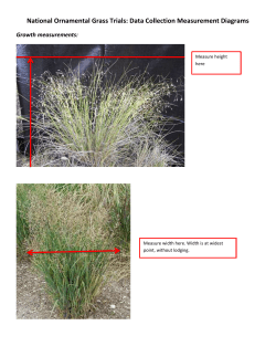 National Ornamental Grass Trials: Data Collection Measurement