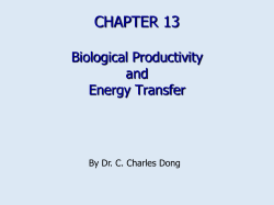 Chapter 13: Biological productivity and energy transfer