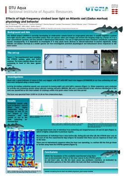 Effects of high-frequency strobed laser light on Atlantic