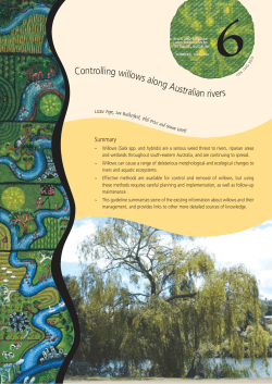 Controlling willows along Australian rivers