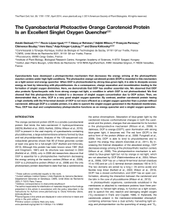 The Cyanobacterial Photoactive Orange Carotenoid