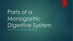 Parts of a Monogastric Digestive System