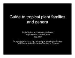 Guide to tropical plant families and genera.ppt