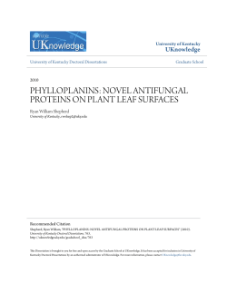phylloplanins: novel antifungal proteins on plant leaf