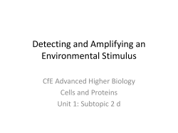 Detecting and Amplifying an Environmental Stimulus
