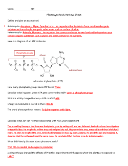 Photosynthesis Study Guide Key