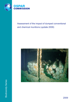Assessment of the Impact of Dumped Conventional and Chemical