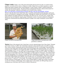 Ginger roots: Ginger is one of the most ancient plant species grown