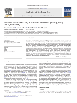 Nanoscale membrane activity of surfactins: Influence of geometry
