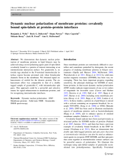 Dynamic nuclear polarization of membrane proteins