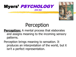 Perception - psychologyhhs