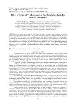 Effect of Isolate of Trichoderma Sp. And