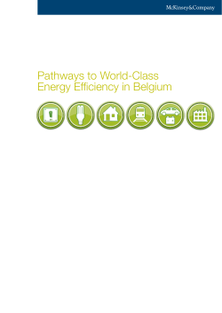 Pathways to World-Class Energy Efficiency in Belgium