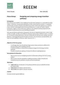 Focus Group: Designing and comparing energy transition