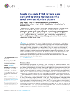 Single molecule FRET reveals pore size and opening mechanism of