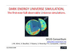 DARK ENERGY UNIVERSE SIMULATION,