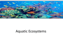 Aquatic Ecosystems