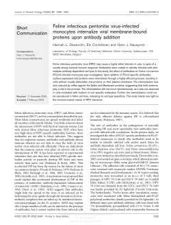 Feline infectious peritonitis virus-infected monocytes internalize viral