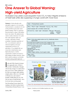 One Answer to Global Warming: High-Yield Agriculture