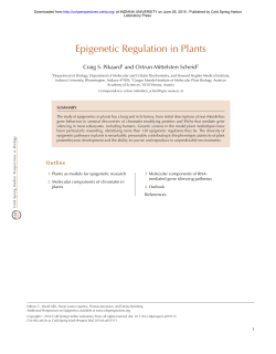 Epigenetic Regulation in Plants - Indiana University Bloomington
