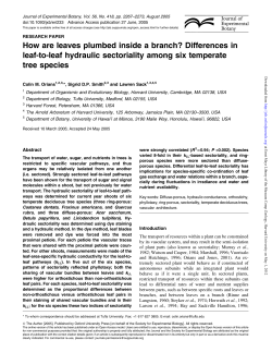 How are leaves plumbed inside a branch? Differences in leaf-to