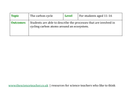 GCSE worksheet on the carbon cycle
