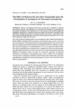 The Effect of Heterocyclic and other Compounds