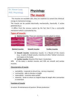 Function of the Nerve Supply to Smooth Muscle