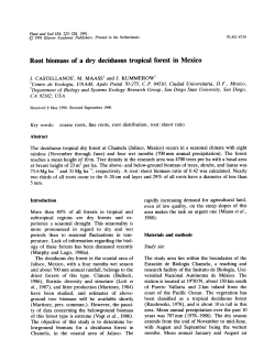 Root biomass of a dry deciduous tropical forest in Mexico