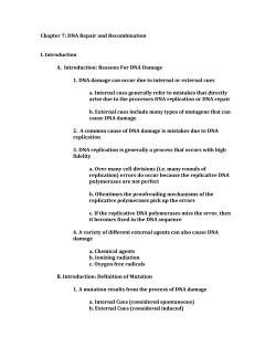 Chapter 7: DNA Repair and Recombination I. Introduction A