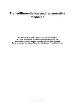 5. Stem cells and transdifferentiation during haematopoesis