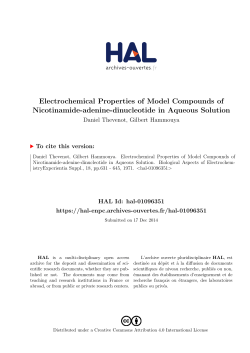 Electrochemical Properties of Model Compounds of Nicotinamide