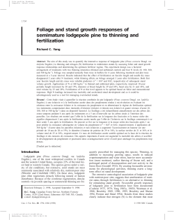 Foliage and stand growth responses of semimature lodgepole pine