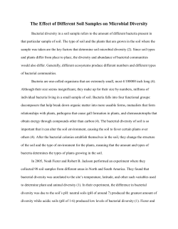 The Effect of Soil Composition on Microbial Diversity