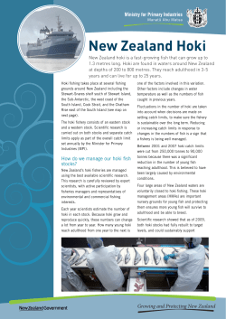 New Zealand Hoki
