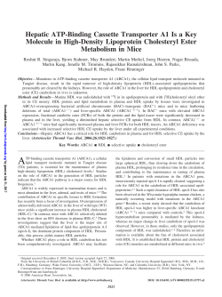Hepatic ATP-Binding Cassette Transporter A1 Is a Key Molecule in