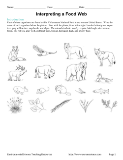 Interpreting a Food Web Introduction