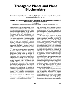 Analysis of transgenic tobacco plants containing varying amounts of