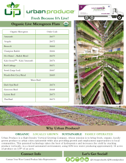 Organic Live Microgreen Flats Why Urban Produce?