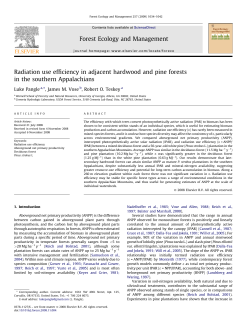 Radiation use efficiency in adjacent hardwood and pine forests in