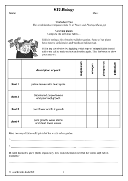 Plants and Photosynthesis Worksheet 2