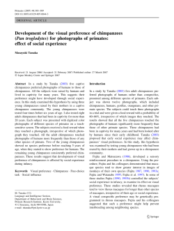 Development of the visual preference of chimpanzees (Pan