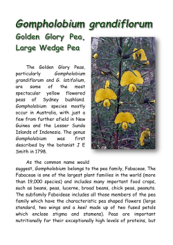 Plant of the Week