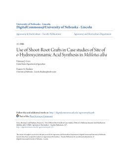Use of Shoot-Root Grafts in Case studies of Site of o