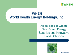 GNE Global Natural Energy