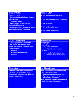 1.1 The Living World Prokaryotes Eukaryotes 1.2 Biomolecules
