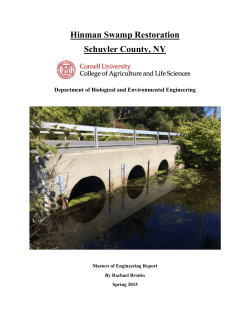 Hinman Swamp Restoration Schuyler County, NY Department of