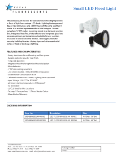 Small LED Flood Light