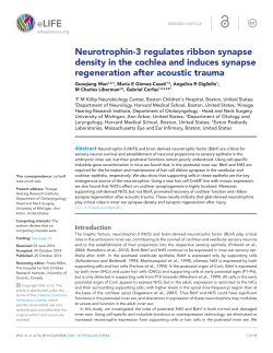 Neurotrophin-3 regulates ribbon synapse density in the cochlea and